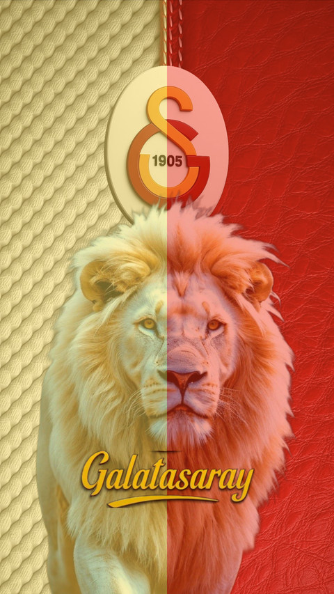 GS Galatasaray 1905 screenshot