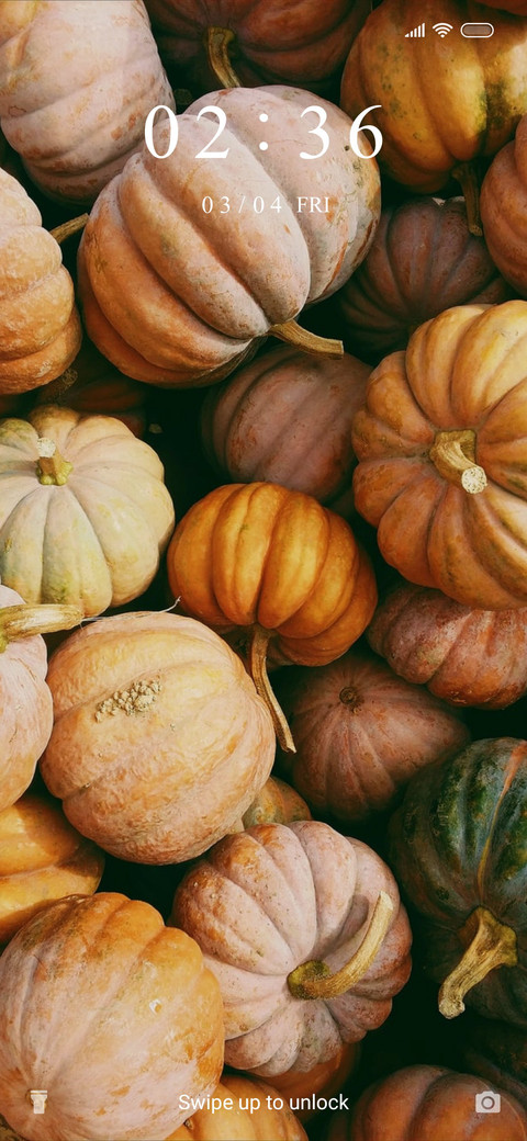 Pumpkins_3MDS screenshot