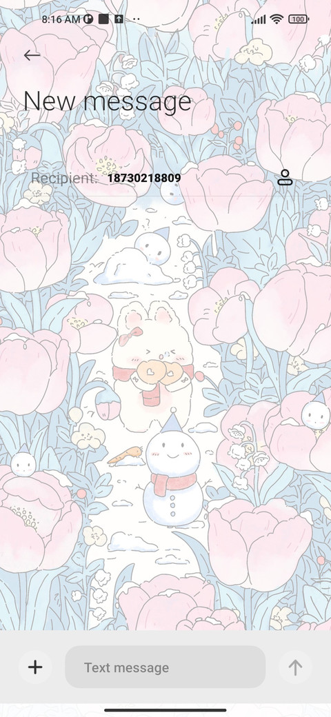 Youth Concerto  screenshot