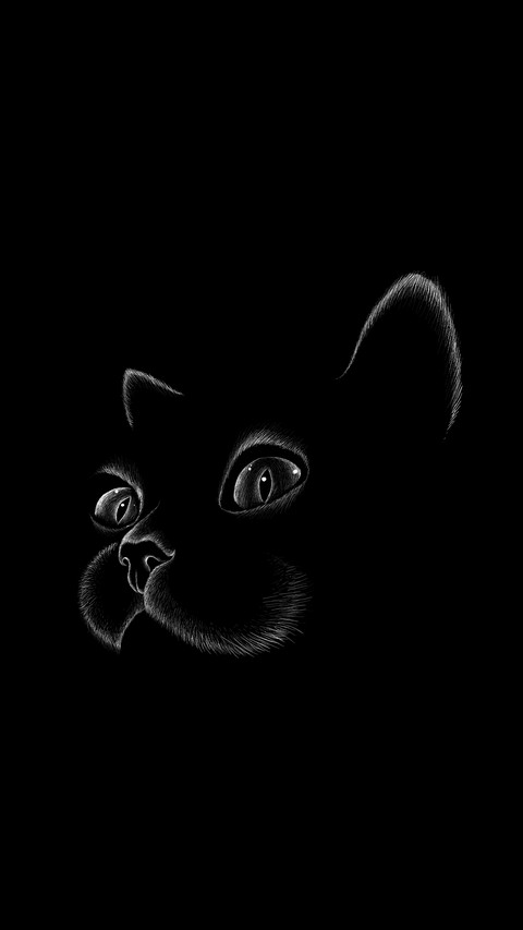 黑猫先生-拍信图库 screenshot