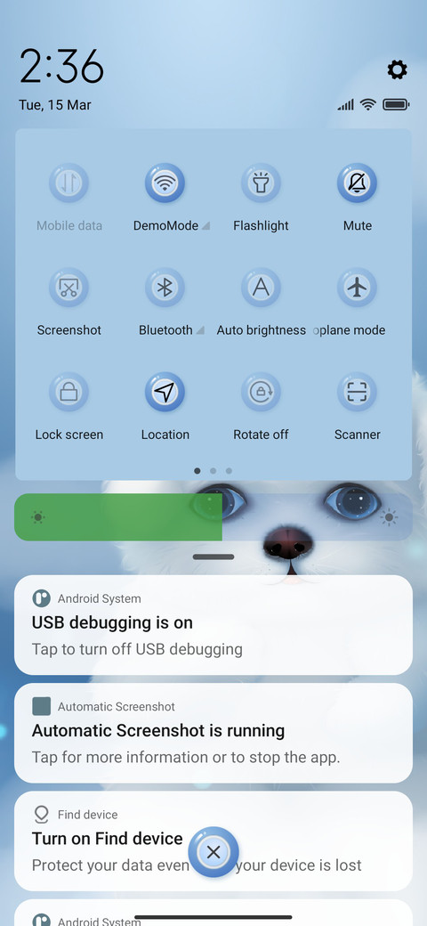 Little Bichon Bear screenshot