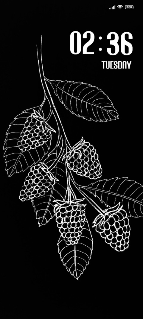 Black Strawberry screenshot