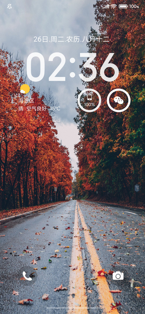 秋风落叶 screenshot