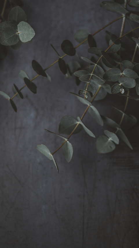 宁静致远 screenshot
