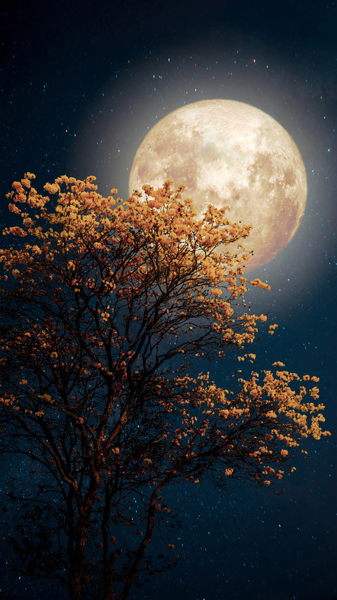 The moon is round screenshot