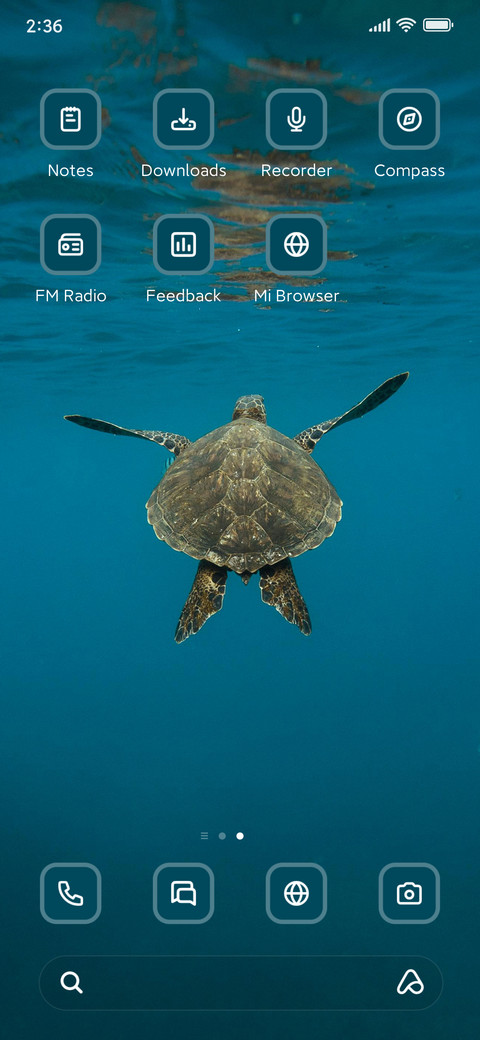 Turtle screenshot
