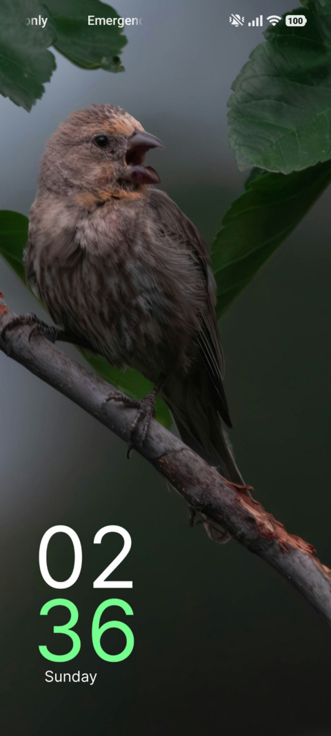 Tiny Whisper screenshot