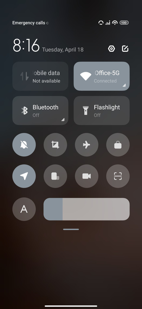 Cocunut Tree screenshot