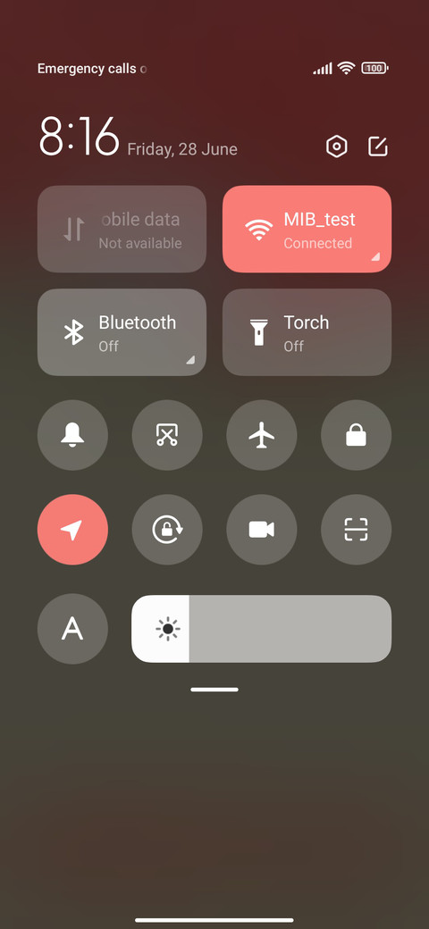 Watermelon Flavor screenshot