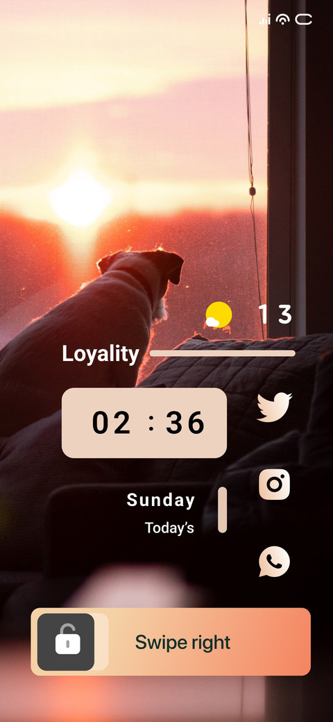 Window Dog screenshot
