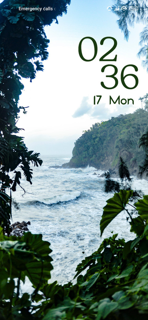 Rainforest screenshot