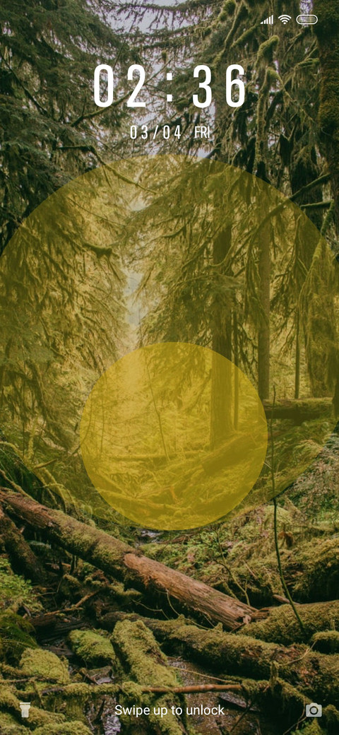 Forests_3MDS screenshot