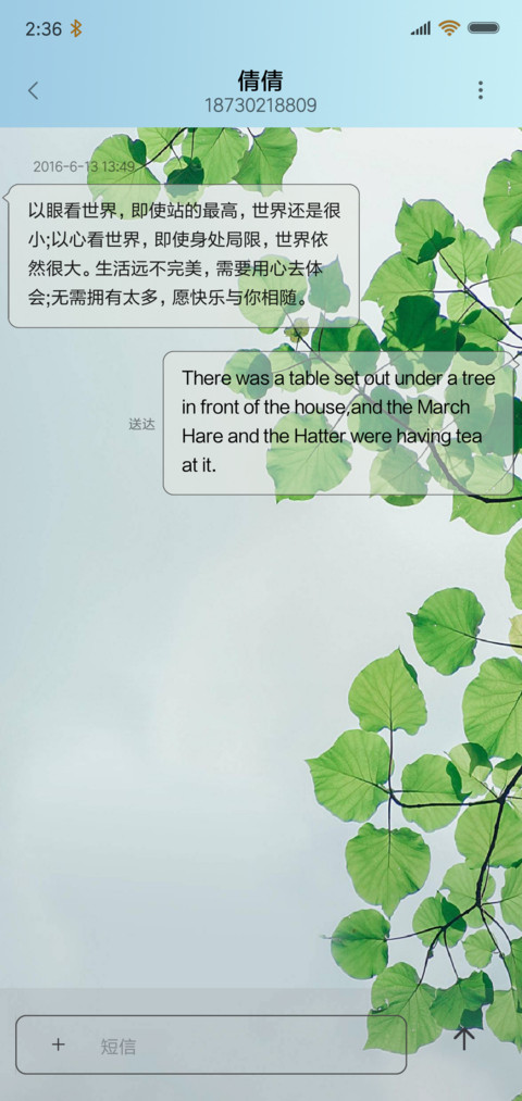 叶净 screenshot