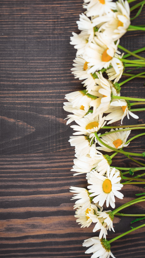 Suitable flower materials for family flower arrangement 23 screenshot