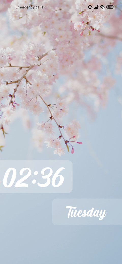 Cherry blossom screenshot