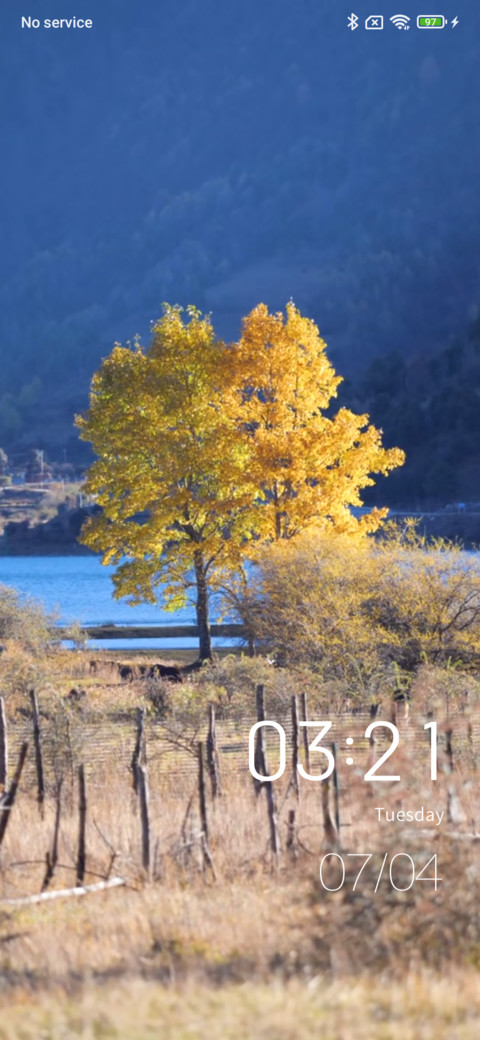 Distant tree screenshot