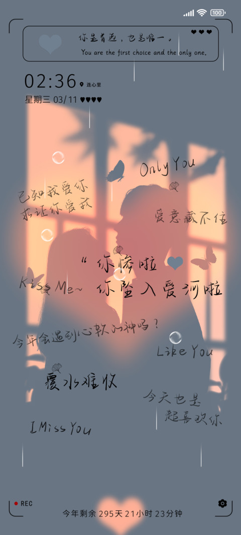 你坠入爱河啦 screenshot