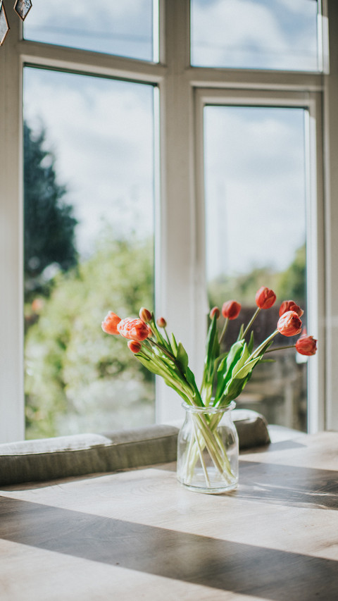 Tulips by the window screenshot