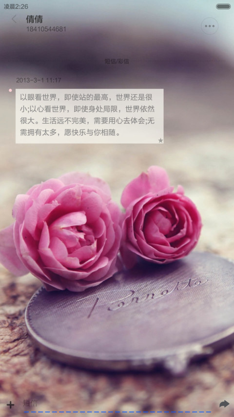 心动一刻（花瓣动态效果+全图标） screenshot