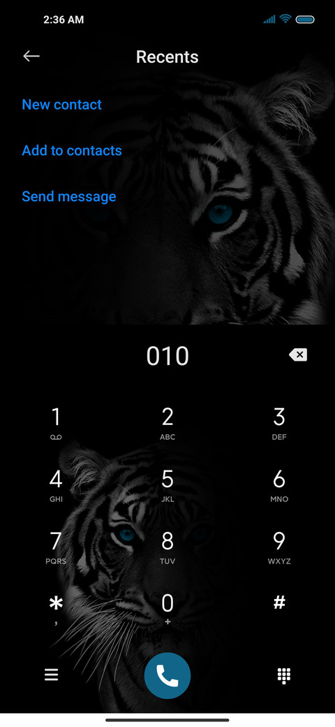 Blue Tiger screenshot