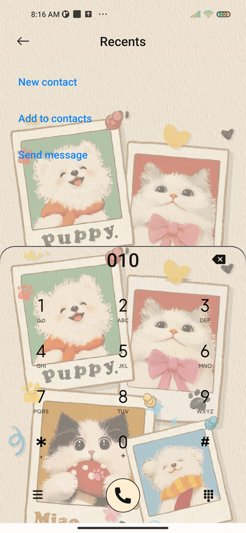 Retro Album Cat screenshot