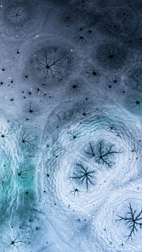 The Frozen Lake's Wonders Hold the Charm of Frost screenshot