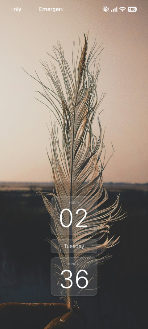 Slim Gree screenshot