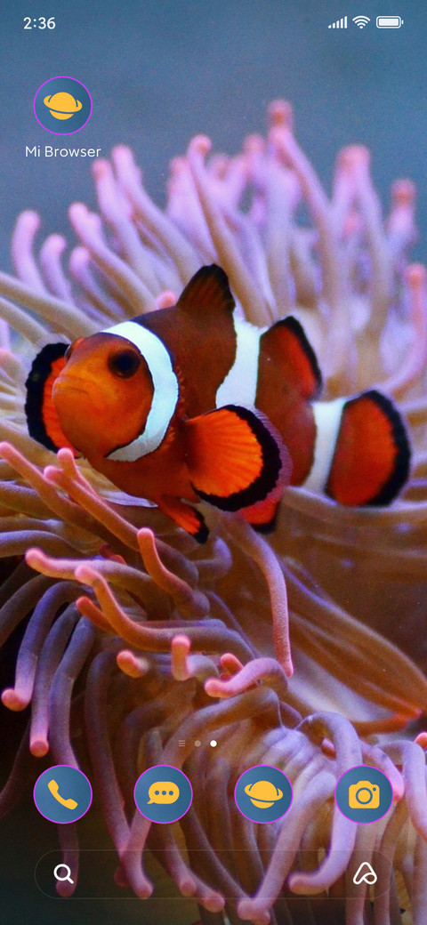 water clownfish screenshot