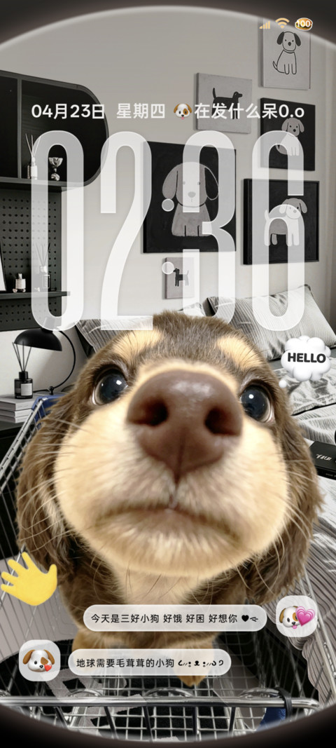 重力鱼眼hello小狗 screenshot