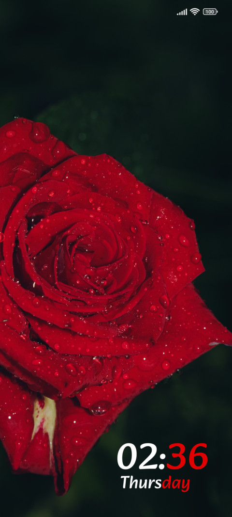 Petal Charm screenshot
