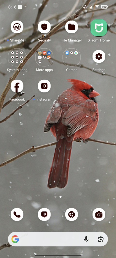 Scarlet Perch screenshot