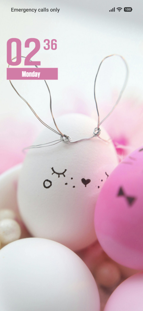 Bunny screenshot
