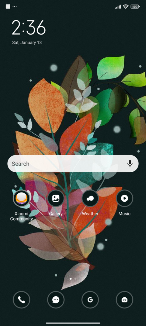Clean Leaf screenshot