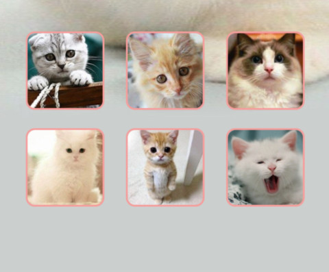 猫猫 screenshot