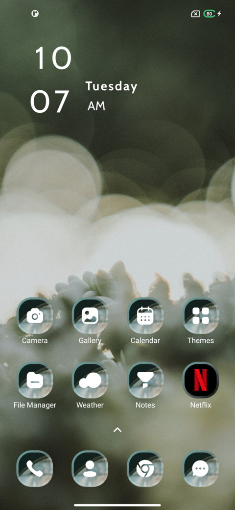 Flower screenshot