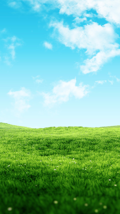 Green eye protection prairie wallpaper screenshot