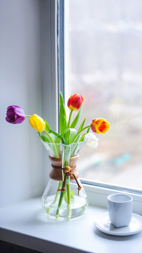 Bouquet of multi-colored tulips in a glass container screenshot