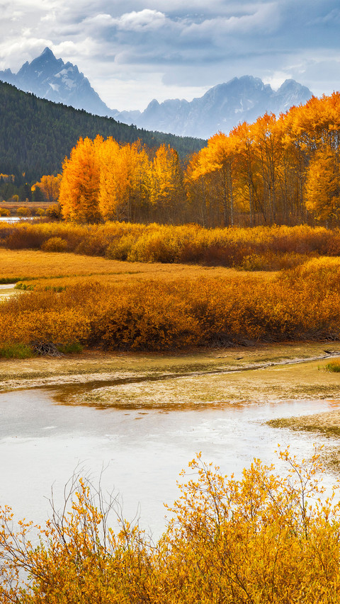 Autumn in the distance screenshot