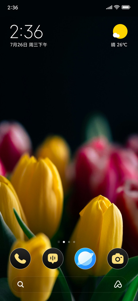 Tulip Ember screenshot