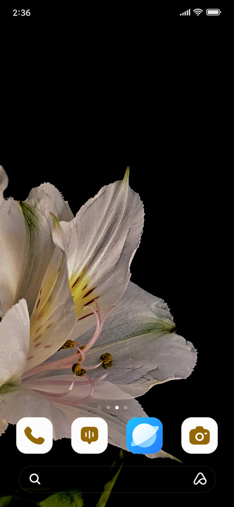 Petal Ray screenshot