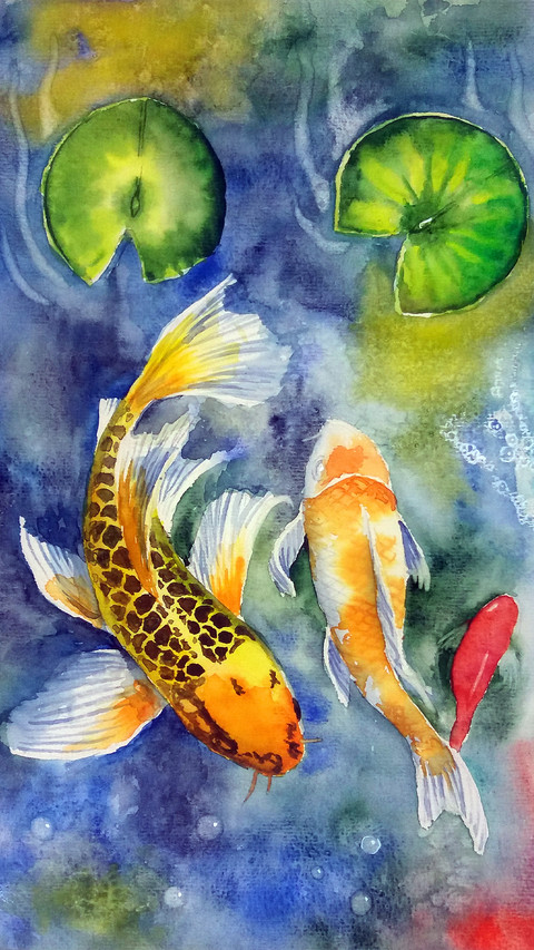 Lucky Koi Fish Illustration screenshot