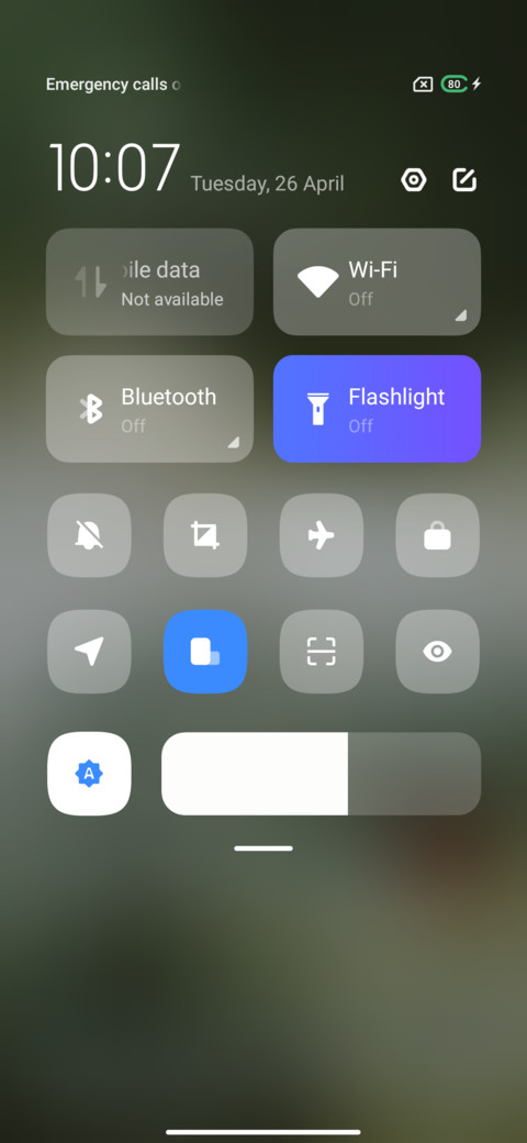 Flower screenshot