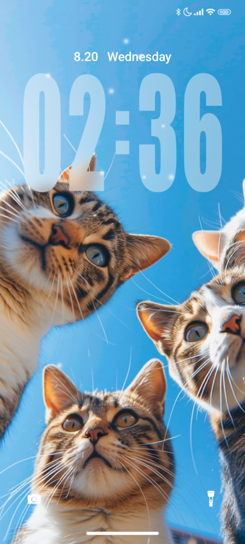 Cats screenshot