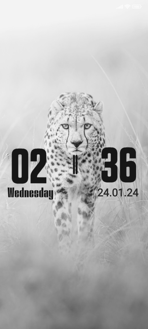 White Cat screenshot