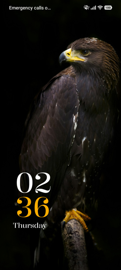 Black Hawk screenshot