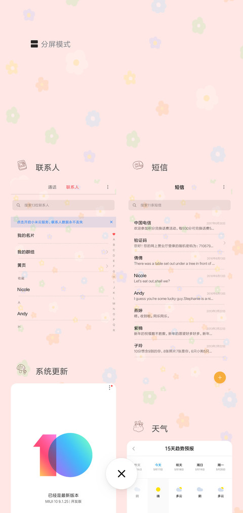 多壁纸泫雅风小花G screenshot