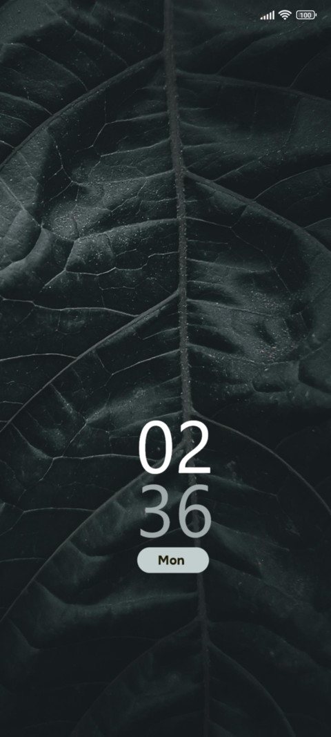 Leaf screenshot