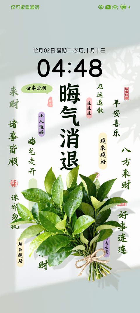 柚子叶壁纸 screenshot