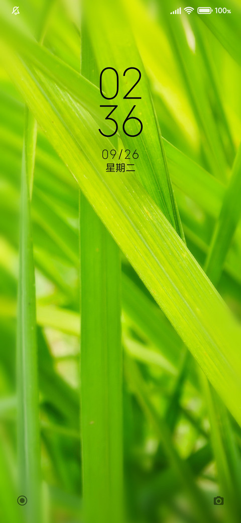 护眼绿草 screenshot
