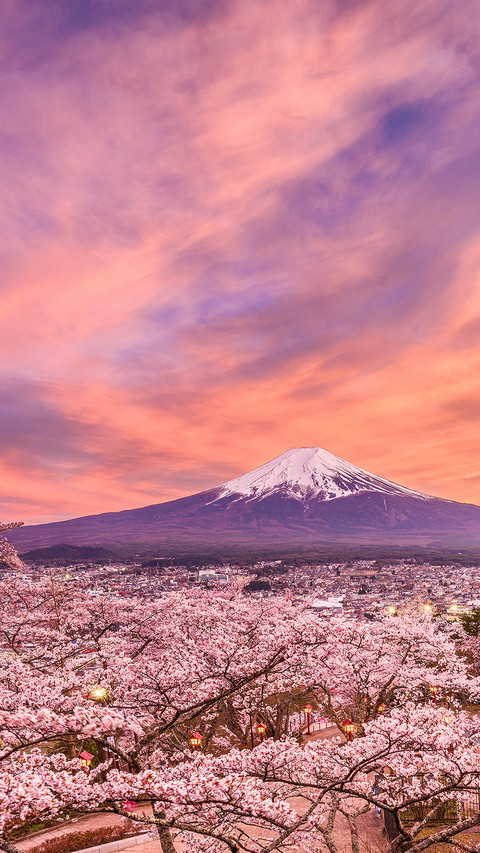Mount Fuji-PAIXIN screenshot